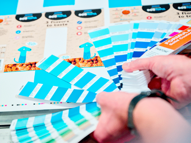 Person selecting Pantone color swatches for packaging design.